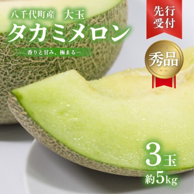 先行受付2027年6月上旬以降発送】八千代町産 タカミメロン 3玉 約5kg